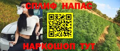 спиды Можга