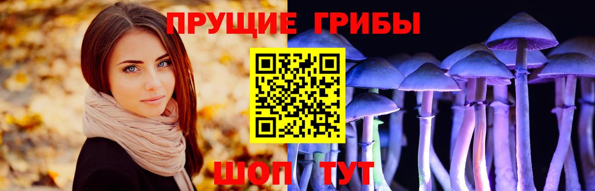 Галлюциногенные грибы Cubensis Южноуральск